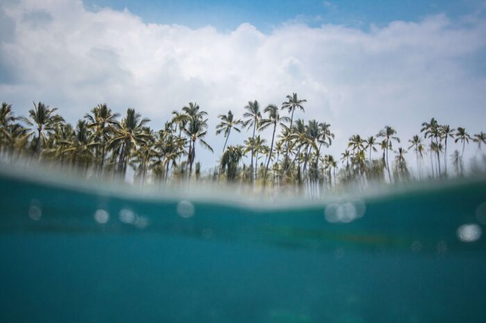 Adventurous Sri Lanka 06 Nights / 07 Days