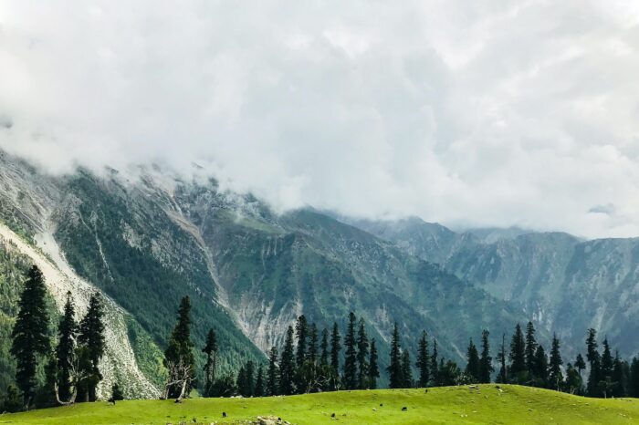 Amazing Kashmir Package 04 Nights / 05 Days