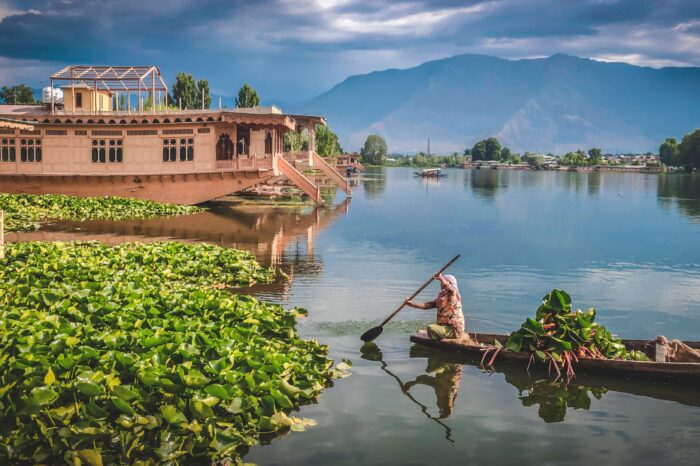 Romantic Kashmir Package 05 Nights / 06 Days